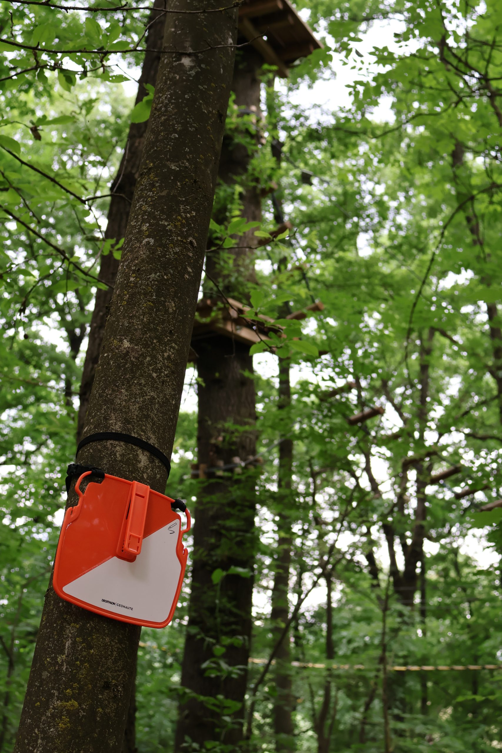 Team building Team building