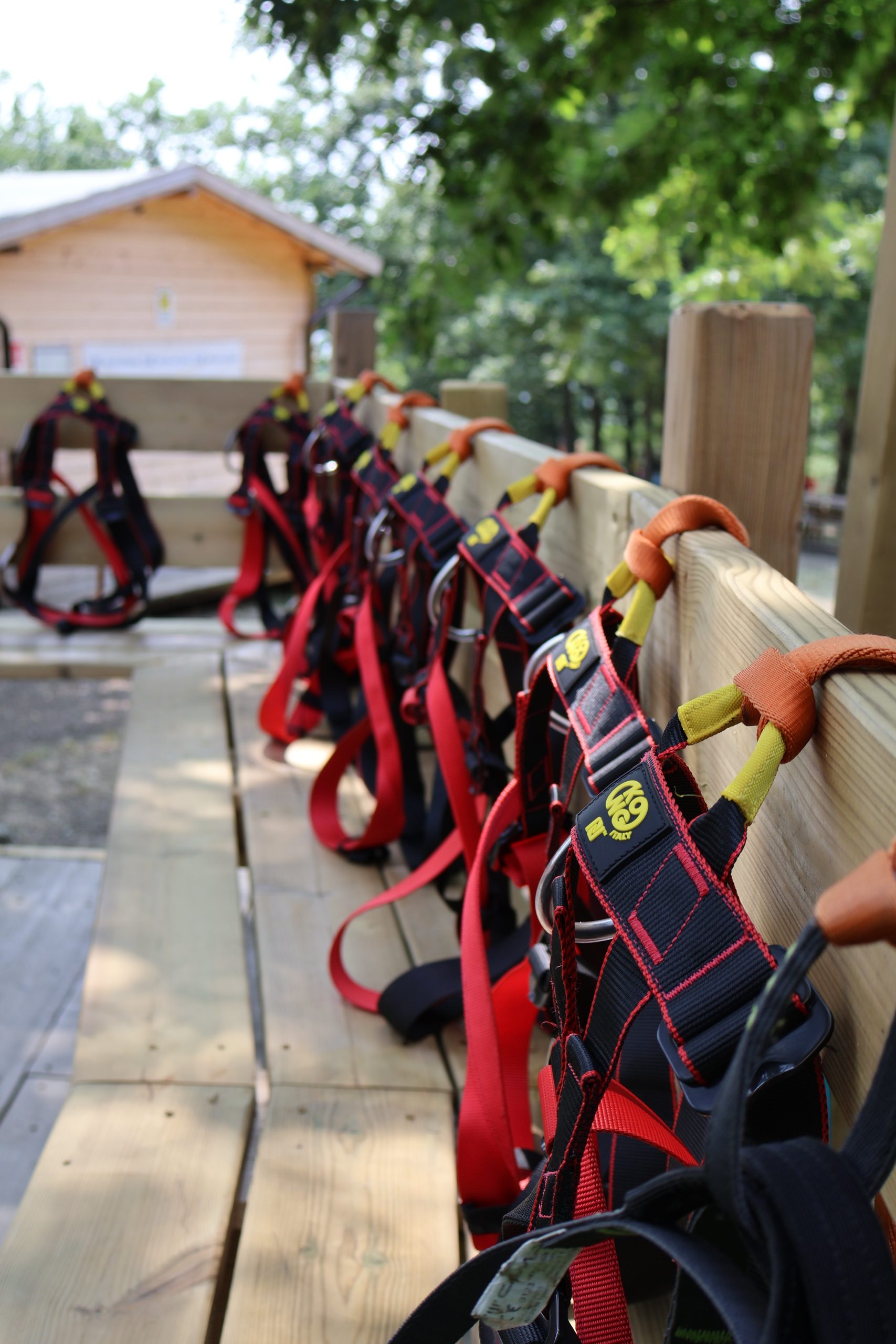 Soluzioni su misura per centri estivi, gruppi e scuole!